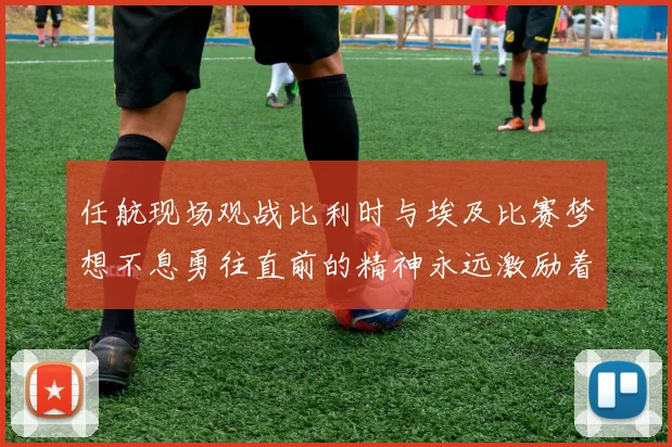 任航现场观战比利时与埃及比赛梦想不息勇往直前的精神永远激励着我们